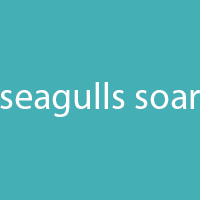 Seagullssoar
